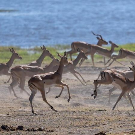 Jackalberry Chobe Hotel Kasane Exterior photo